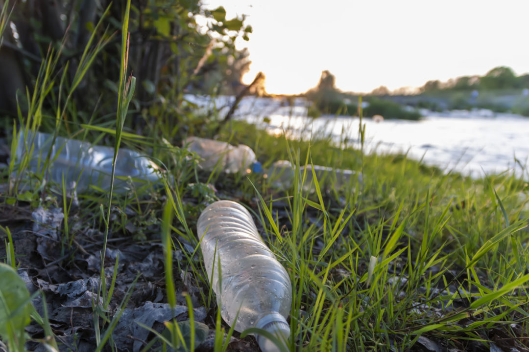 Plastic bottles littered in grass