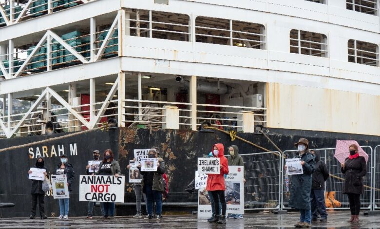 45-year-old livestock carrier barred from entering Ireland