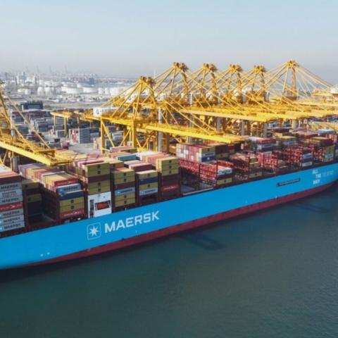 ‘World’s first’ large green methanol-enabled boxship visits Dubai (Gallery)