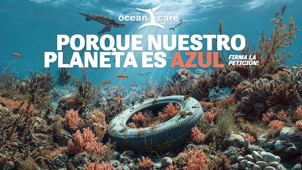 Ocean Health Has Deteriorated Since Last UN Ocean Conference, Marine Experts Warn Ahead of Critical Nice Summit