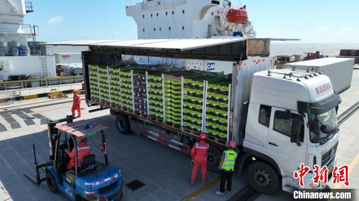 This year's first chartered shipment of South African citrus arrives in Shanghai.