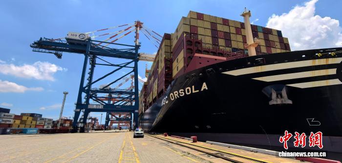 Xiamen Port successfully launched MSC's new US West Coast route