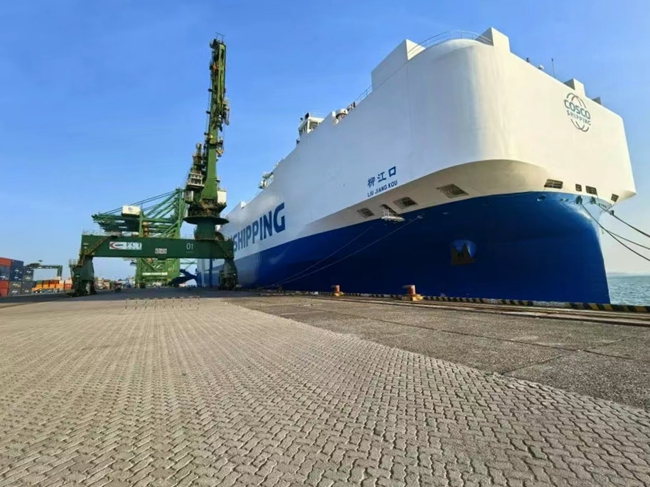 Fuzhou Port Jiangyin Port Area Ro-Ro First Voyage to South Africa and Tanzania