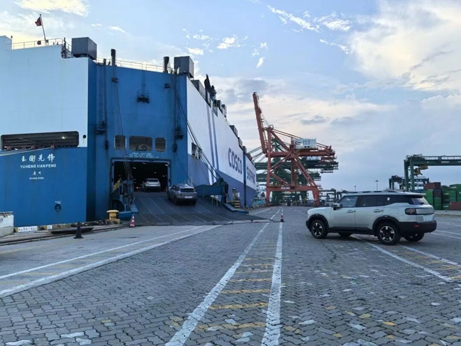Fuzhou Port Jiangyin Port Area Ro-Ro First Voyage to South Africa and Tanzania