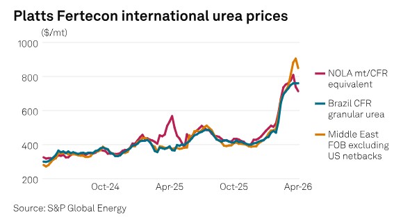 Hormuz closure past end-May risks Southern Hemisphere farm-to-fork supply chain: economist